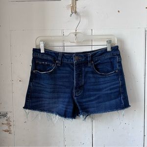 American Eagle Outfitters Tomgirl Cutoffs Jean Shorts
